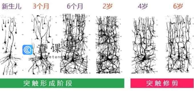 微信图片_20181224140516.jpg