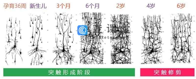 微信图片_20190115180809.jpg