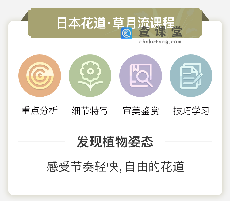 温教授草月流花艺课_02.png