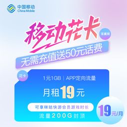 100g流量卡-大流量手机卡,畅游互联网，100g流量卡带来惊喜