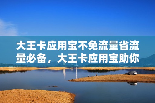 大王卡应用宝不免流量省流量必备，大王卡应用宝助你不免流量，详解使用技巧