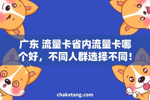 广东 流量卡省内流量卡哪个好，不同人群选择不同！