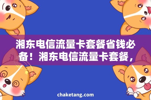 湘东电信流量卡套餐省钱必备！湘东电信流量卡套餐，速度快、流量大，助你畅游互联网！