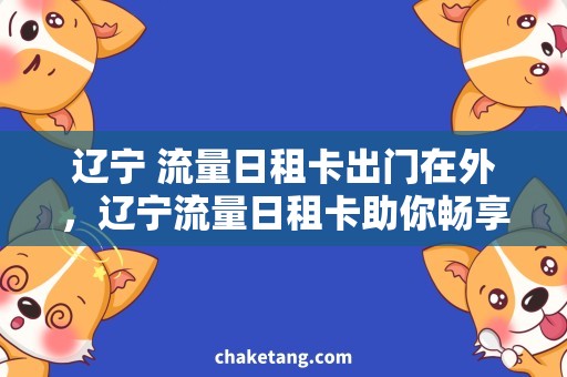 辽宁 流量日租卡出门在外，辽宁流量日租卡助你畅享网络快捷！