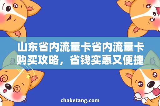 山东省内流量卡省内流量卡购买攻略，省钱实惠又便捷