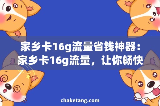 家乡卡16g流量省钱神器：家乡卡16g流量，让你畅快上网！