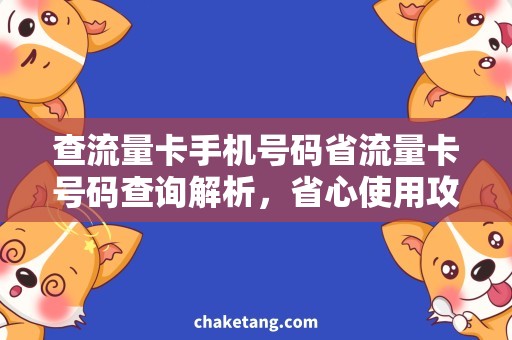 查流量卡手机号码省流量卡号码查询解析，省心使用攻略