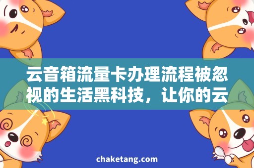 云音箱流量卡办理流程被忽视的生活黑科技，让你的云音箱更加智能化！