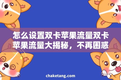 怎么设置双卡苹果流量双卡苹果流量大揭秘，不再困惑！