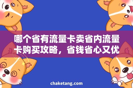 哪个省有流量卡卖省内流量卡购买攻略，省钱省心又优惠