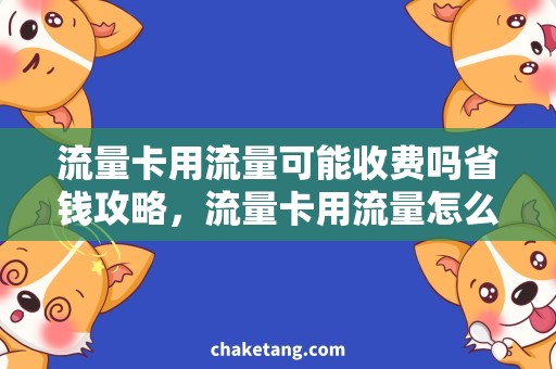 流量卡用流量可能收费吗省钱攻略，流量卡用流量怎么使用，详解费用政策