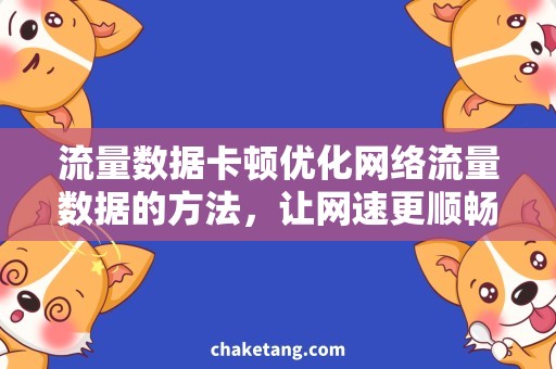 流量数据卡顿优化网络流量数据的方法，让网速更顺畅