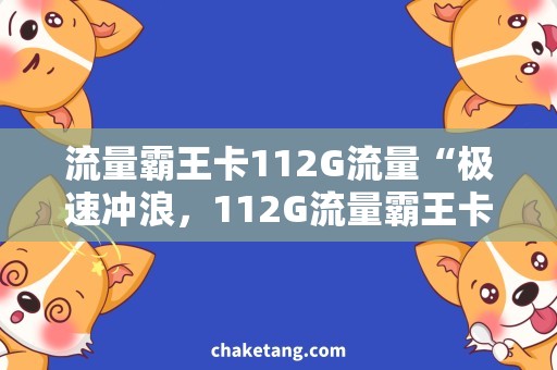 流量霸王卡112G流量“极速冲浪，112G流量霸王卡带你飞！”