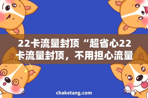 22卡流量封顶“超省心22卡流量封顶，不用担心流量超支！”