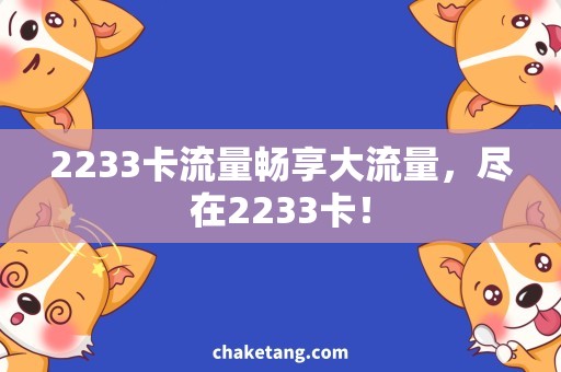 2233卡流量畅享大流量，尽在2233卡！