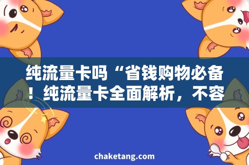 纯流量卡吗“省钱购物必备！纯流量卡全面解析，不容错过！”