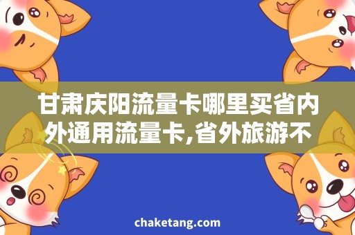 甘肃庆阳流量卡哪里买省内外通用流量卡,省外旅游不再愁！