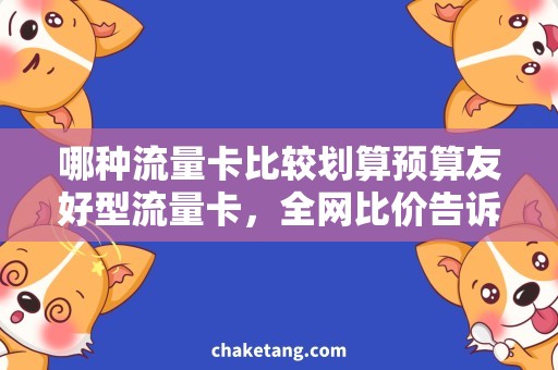 哪种流量卡比较划算预算友好型流量卡，全网比价告诉你哪种更划算