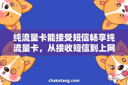 纯流量卡能接受短信畅享纯流量卡，从接收短信到上网无阻，详解最佳使用方法