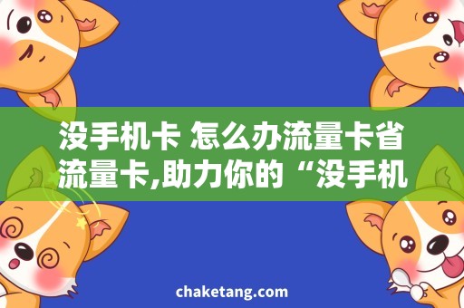 没手机卡 怎么办流量卡省流量卡,助力你的“没手机卡怎么办”困境！