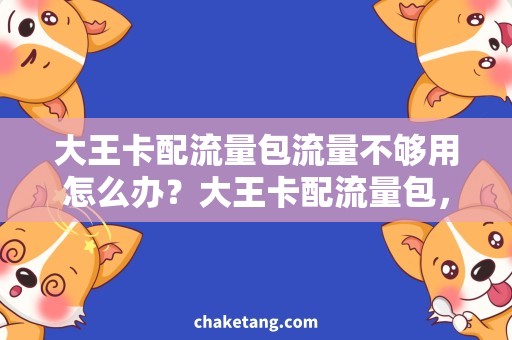 大王卡配流量包流量不够用怎么办？大王卡配流量包，让你畅快上网！