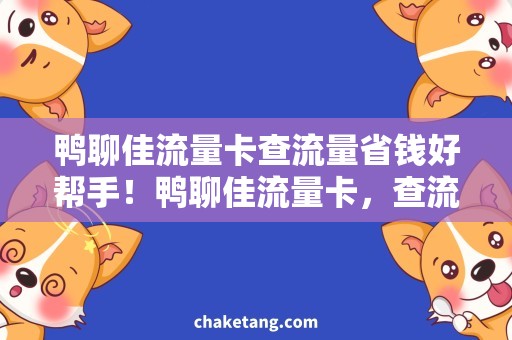 鸭聊佳流量卡查流量省钱好帮手！鸭聊佳流量卡，查流量神器解析