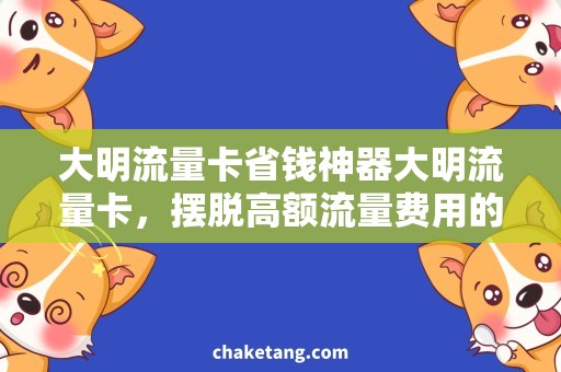 大明流量卡省钱神器大明流量卡，摆脱高额流量费用的最佳选择