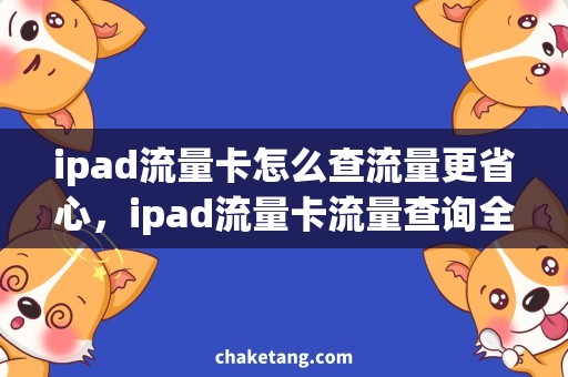 ipad流量卡怎么查流量更省心，ipad流量卡流量查询全攻略