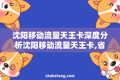 沈阳移动流量天王卡深度分析沈阳移动流量天王卡,省钱充值攻略