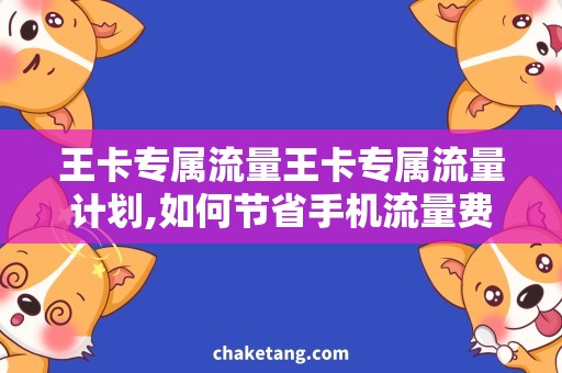 王卡专属流量王卡专属流量计划,如何节省手机流量费用