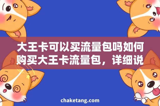 大王卡可以买流量包吗如何购买大王卡流量包，详细说明可以充值和购买方式