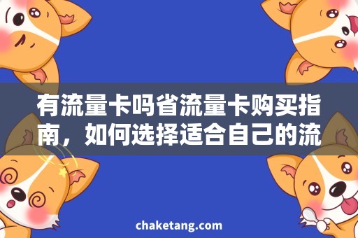 有流量卡吗省流量卡购买指南，如何选择适合自己的流量卡？