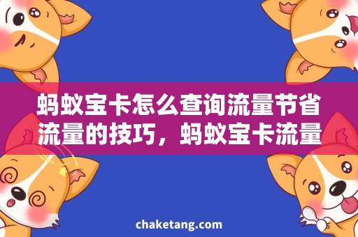 蚂蚁宝卡怎么查询流量节省流量的技巧，蚂蚁宝卡流量问题解决方案