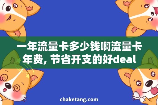 一年流量卡多少钱啊流量卡年费, 节省开支的好deal