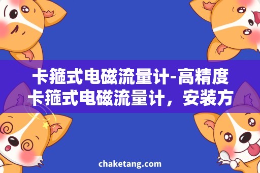 卡箍式电磁流量计-高精度卡箍式电磁流量计，安装方式、价格、使用教程