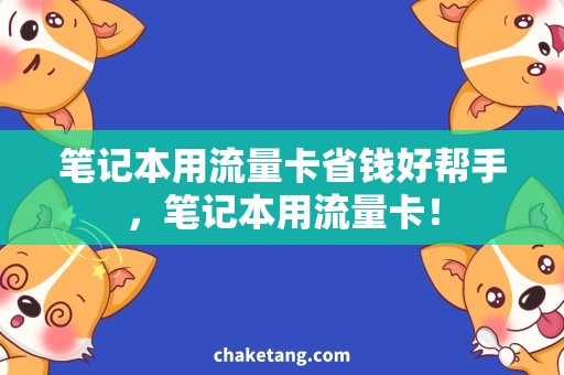 笔记本用流量卡省钱好帮手，笔记本用流量卡！