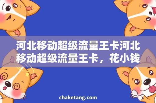 河北移动超级流量王卡河北移动超级流量王卡，花小钱享大流量