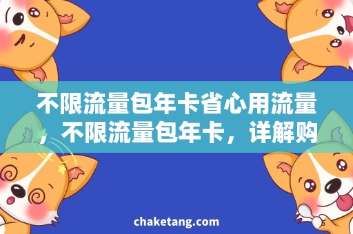 不限流量包年卡省心用流量，不限流量包年卡，详解购买攻略