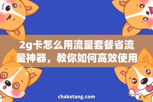 2g卡怎么用流量套餐省流量神器，教你如何高效使用2G卡流量套餐