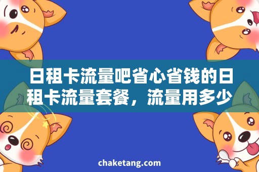 日租卡流量吧省心省钱的日租卡流量套餐，流量用多少算多少！