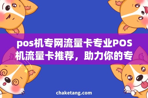 pos机专网流量卡专业POS机流量卡推荐，助力你的专网支付业务!