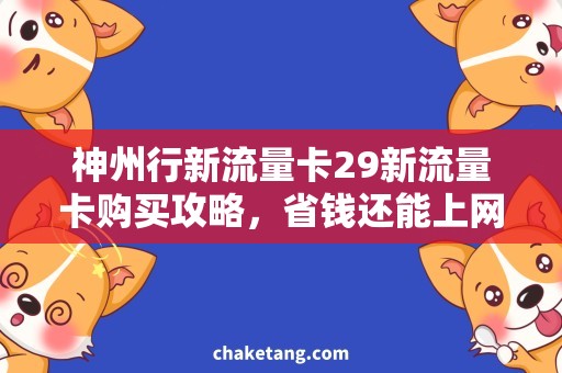 神州行新流量卡29新流量卡购买攻略，省钱还能上网不花流量！