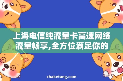 上海电信纯流量卡高速网络流量畅享,全方位满足你的上网需求！