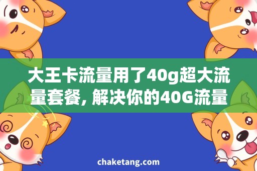 大王卡流量用了40g超大流量套餐, 解决你的40G流量不够用问题