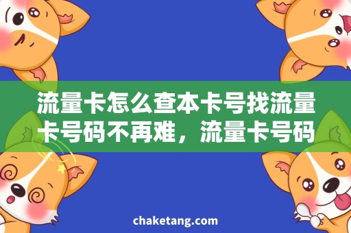 流量卡怎么查本卡号找流量卡号码不再难，流量卡号码查询技巧大揭秘！