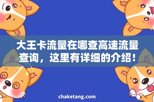 大王卡流量在哪查高速流量查询，这里有详细的介绍！