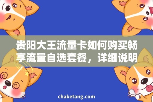 贵阳大王流量卡如何购买畅享流量自选套餐，详细说明贵阳大王流量卡如何购买