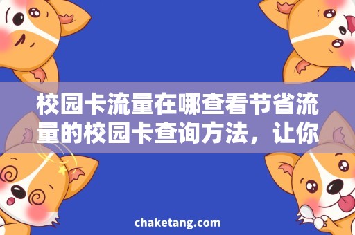 校园卡流量在哪查看节省流量的校园卡查询方法，让你轻松省心使用流量！