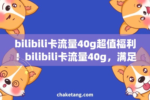 bilibili卡流量40g超值福利！bilibili卡流量40g，满足你的追剧需求