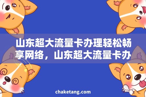 山东超大流量卡办理轻松畅享网络，山东超大流量卡办理快捷便利